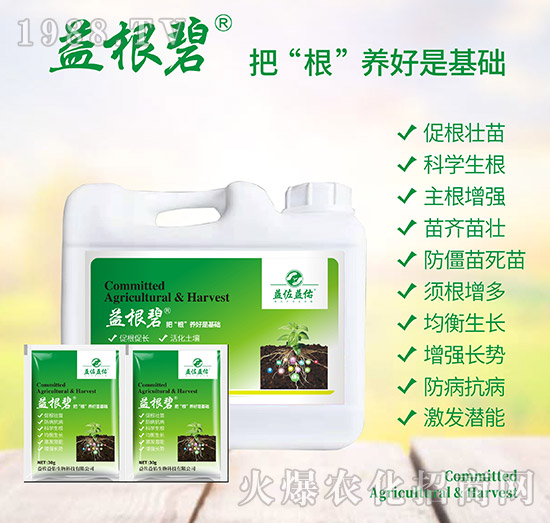 益根碧意-益佐益佑