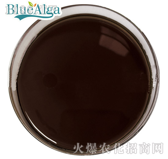 魚蛋白肽（液體）-藍寶海洋