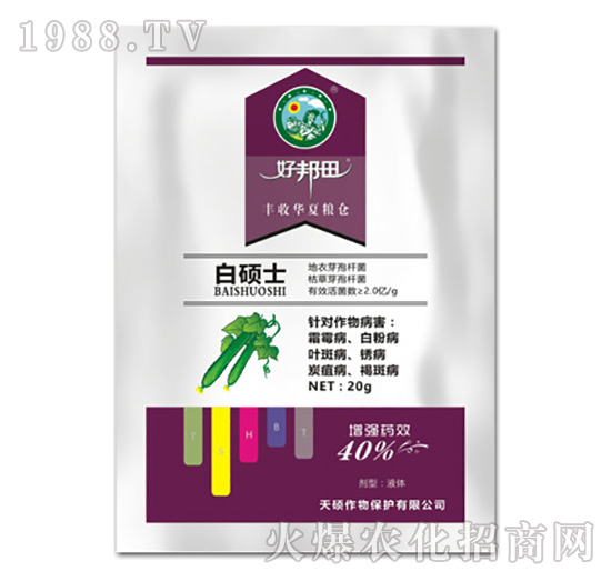 白碩士-好邦田-天碩作物