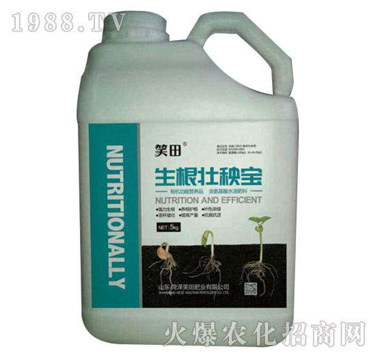 生根壯秧寶-笑田