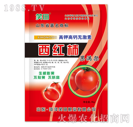 西紅柿果滿架-笑田