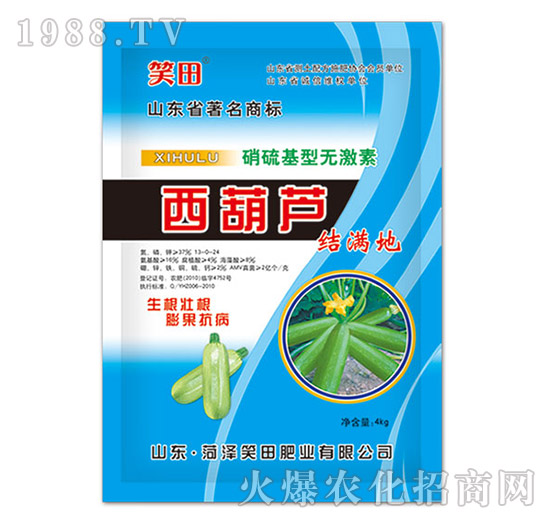 西葫蘆結(jié)滿地-笑田