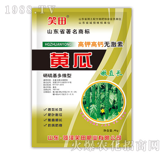 黃瓜嫩直長-笑田