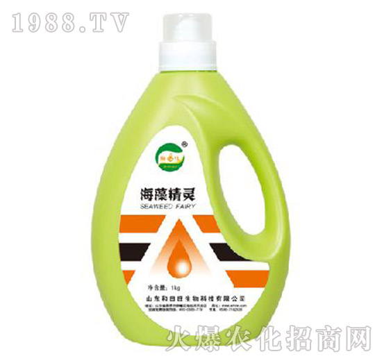 海藻精靈-和田旺生物