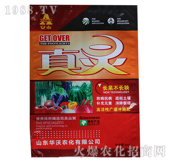 ���`-��̩-�A���r(n��ng)��