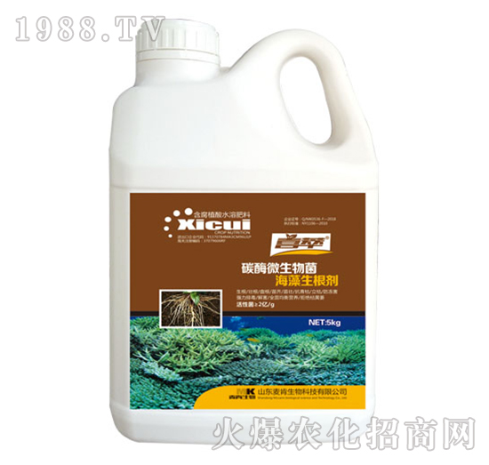 ̼ø΢���������������-��������