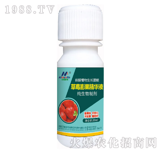 純生物制劑-草莓膨果精華液-艾姆斯特