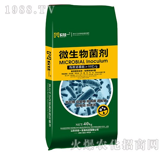 ΢�������-�r(n��ng)��һ