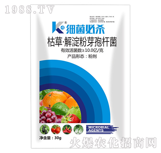 枯草·解淀粉芽孢桿菌（30g）-細菌必殺-碩達