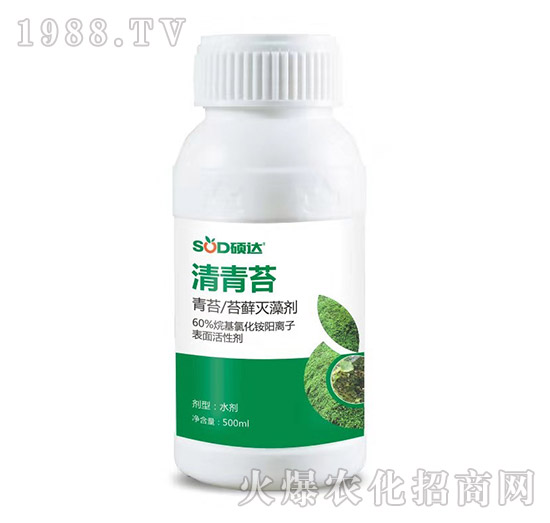 清青苔-碩達(dá)