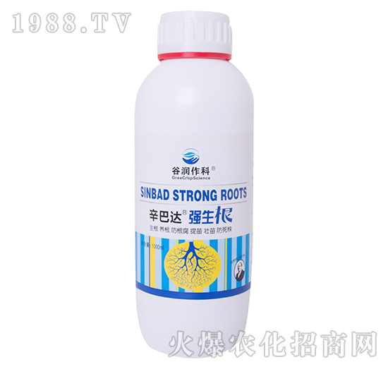 強(qiáng)生根-辛巴達(dá)-谷潤(rùn)作科