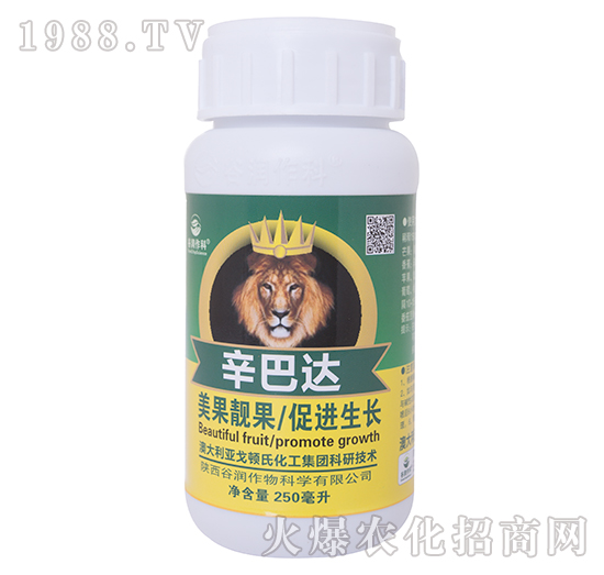 辛巴達-谷潤作科