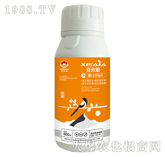 ��һԪ�ط���-ϲ����-ϲ�ϼ�