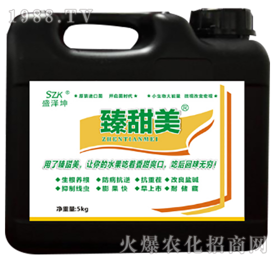 臻甜美R-盛澤坤