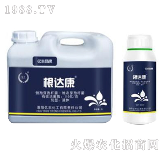 側(cè)孢芽子桿菌·地衣芽孢桿菌-根達(dá)康-億豐化工