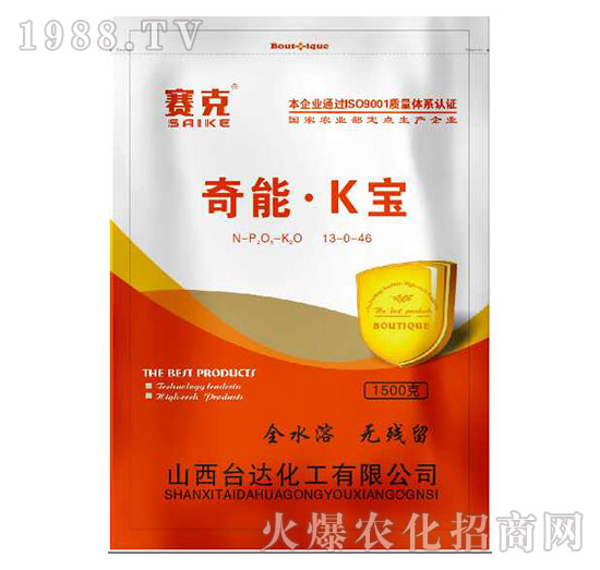 奇能·K寶-賽克-臺(tái)達(dá)