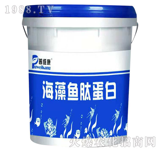 �����~⁵���-�վS��-�_(t��i)�_(d��)