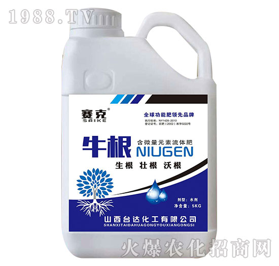 ţ��-ِ��-�_�_