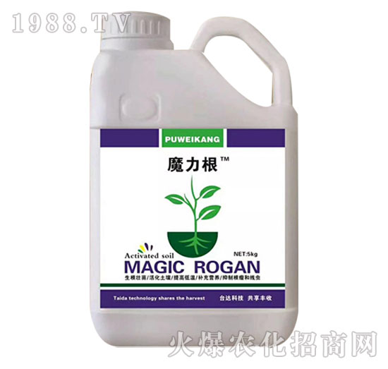 ħ����-�_�_(d��)