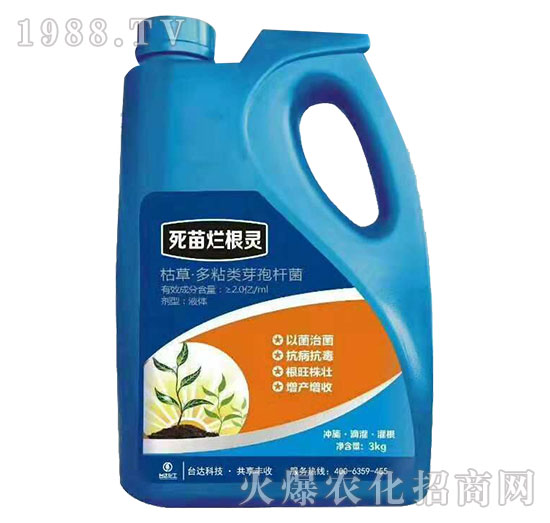 ���砀���`-�_�_(d��)