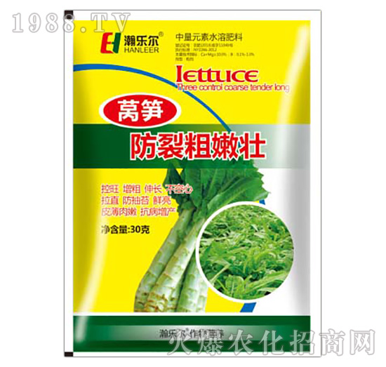 �n�S���Ѵ��ۉ�-嫘���