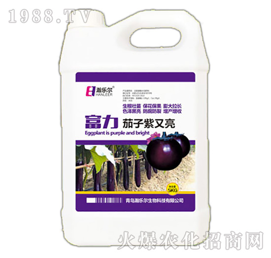 茄子紫又亮-富力-瀚樂爾