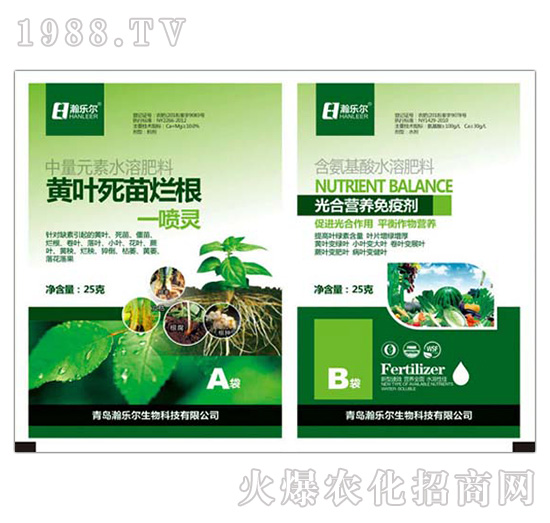 黃葉死苗爛根一噴靈+光合營(yíng)養(yǎng)免疫劑-瀚樂爾