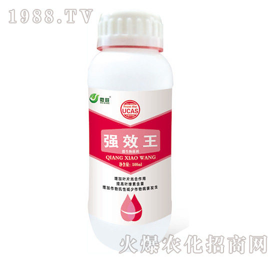 強效王-微旺-尚豐益邦