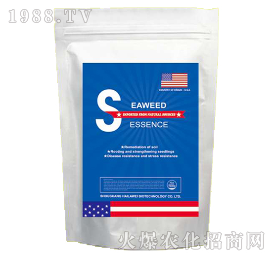 �M�ں��徫-�����S