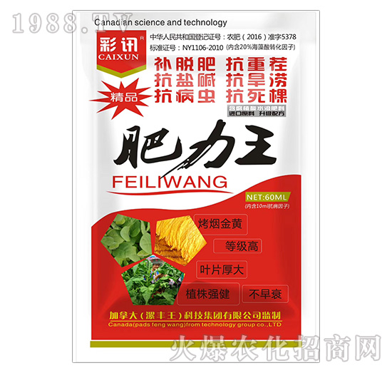 肥力王-彩訊-漯豐王