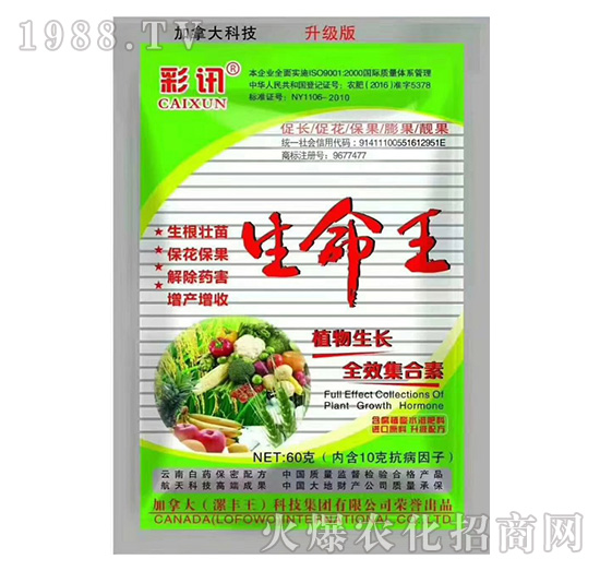 植物生長全效集合素-生命王-彩訊-漯豐王