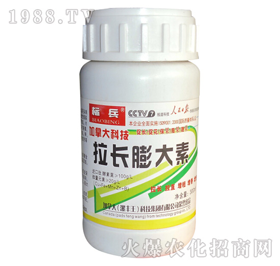 拉長(zhǎng)膨大素-標(biāo)兵-漯豐王