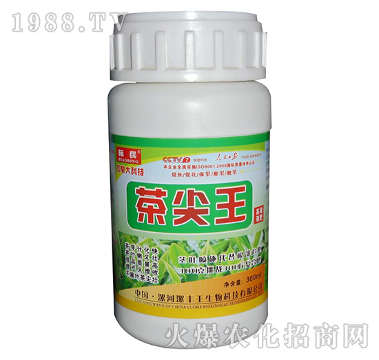 茶尖王-標(biāo)兵-漯豐王