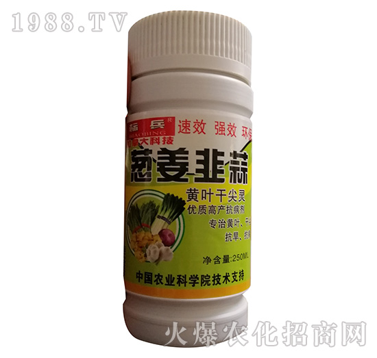 瓶裝蔥姜韭酸黃葉干尖靈-標(biāo)兵-漯豐王