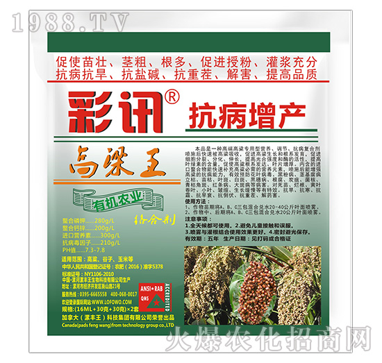 高粱王抗病增產(chǎn)絡合劑-彩訊-漯豐王