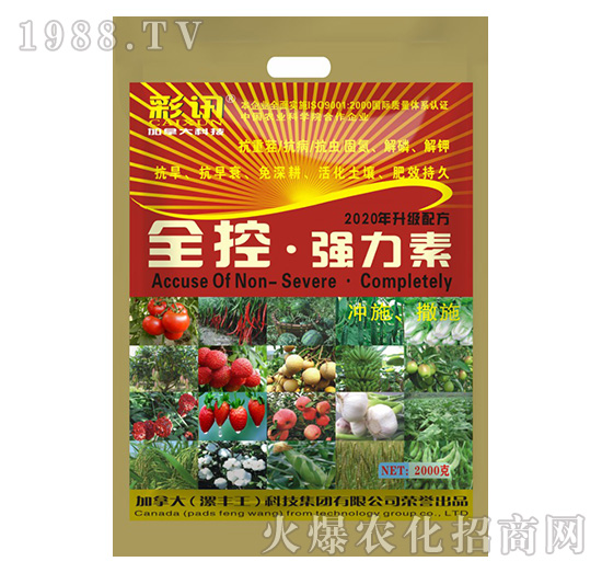 袋裝全控·強力素-漯豐王