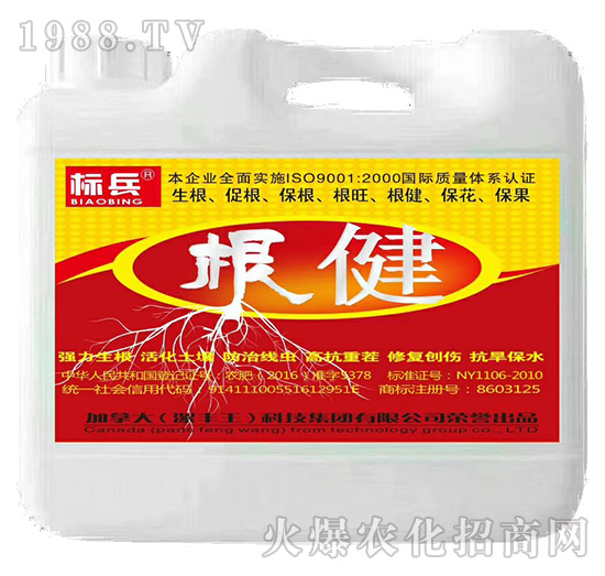 根健-標兵-漯豐王