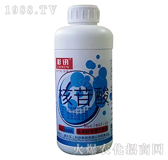 核苷酸-彩訊-漯豐王