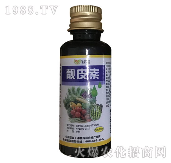 �nƤ��-�R�Sֲ��