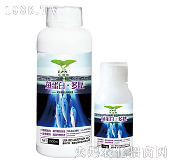 �~���ס�����-��(l��)��˹-�Θ�(l��)�ʘI(y��)