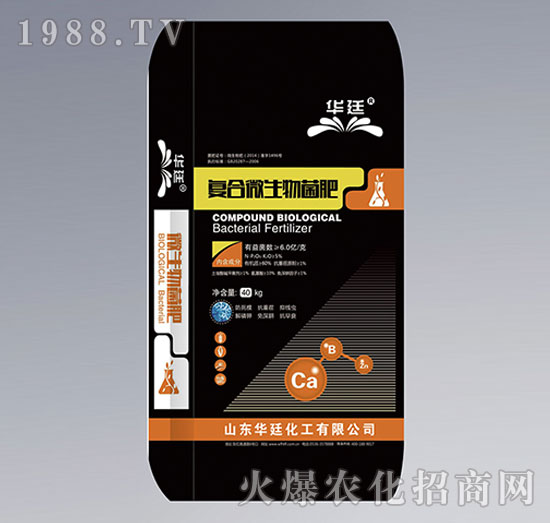 �ͺ�΢�������-�A͢����