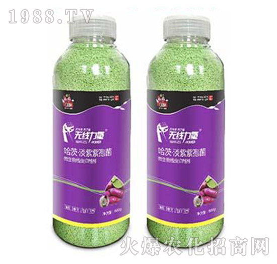 無(wú)線力量-薯幫主-升華永樂(lè)