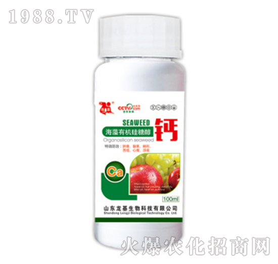 �ЙC���Ǵ��}-��������