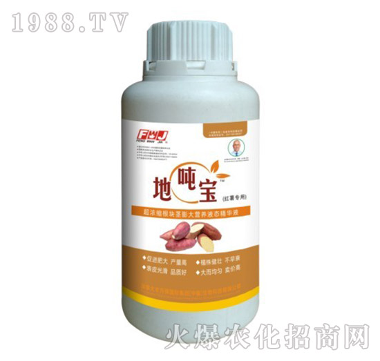 紅薯專用根塊莖膨大營(yíng)養(yǎng)液態(tài)精華液-地噸寶-豐萬(wàn)稼