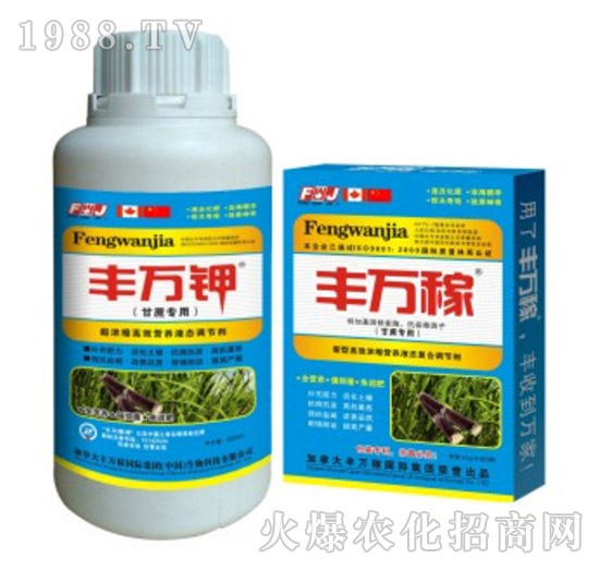 甘蔗專用高效營(yíng)養(yǎng)液態(tài)調(diào)節(jié)劑-豐萬稼