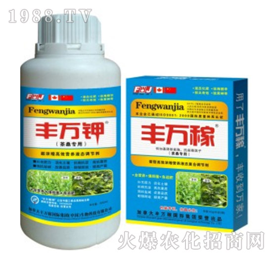 茶桑專用高效營(yíng)養(yǎng)液態(tài)調(diào)節(jié)劑-豐萬(wàn)稼