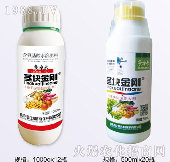 ���������o�K����-��ʿ��