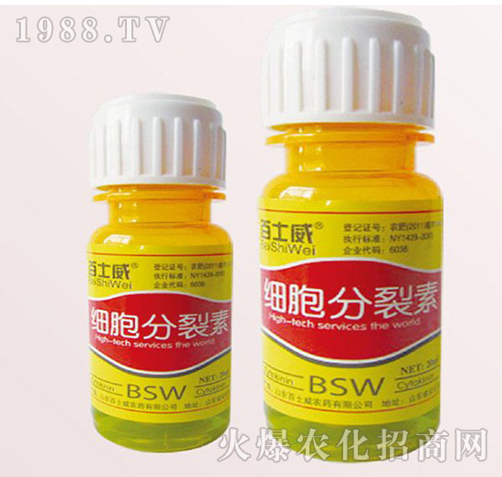 ��(x��)��������-��ʿ��