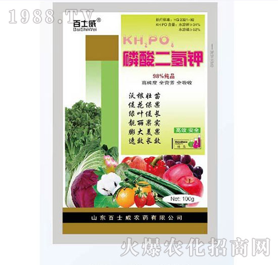 ��������100g-��ʿ��