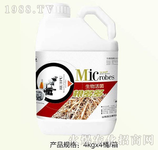 �����-��ʿ��